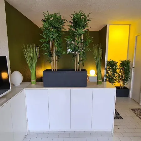Bacarrat Coursive Port Nature Apartment Agde
